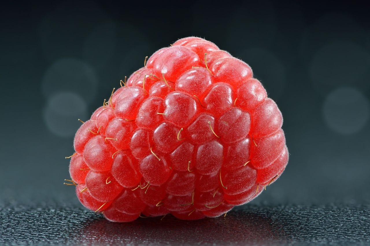 Rubus idaeus